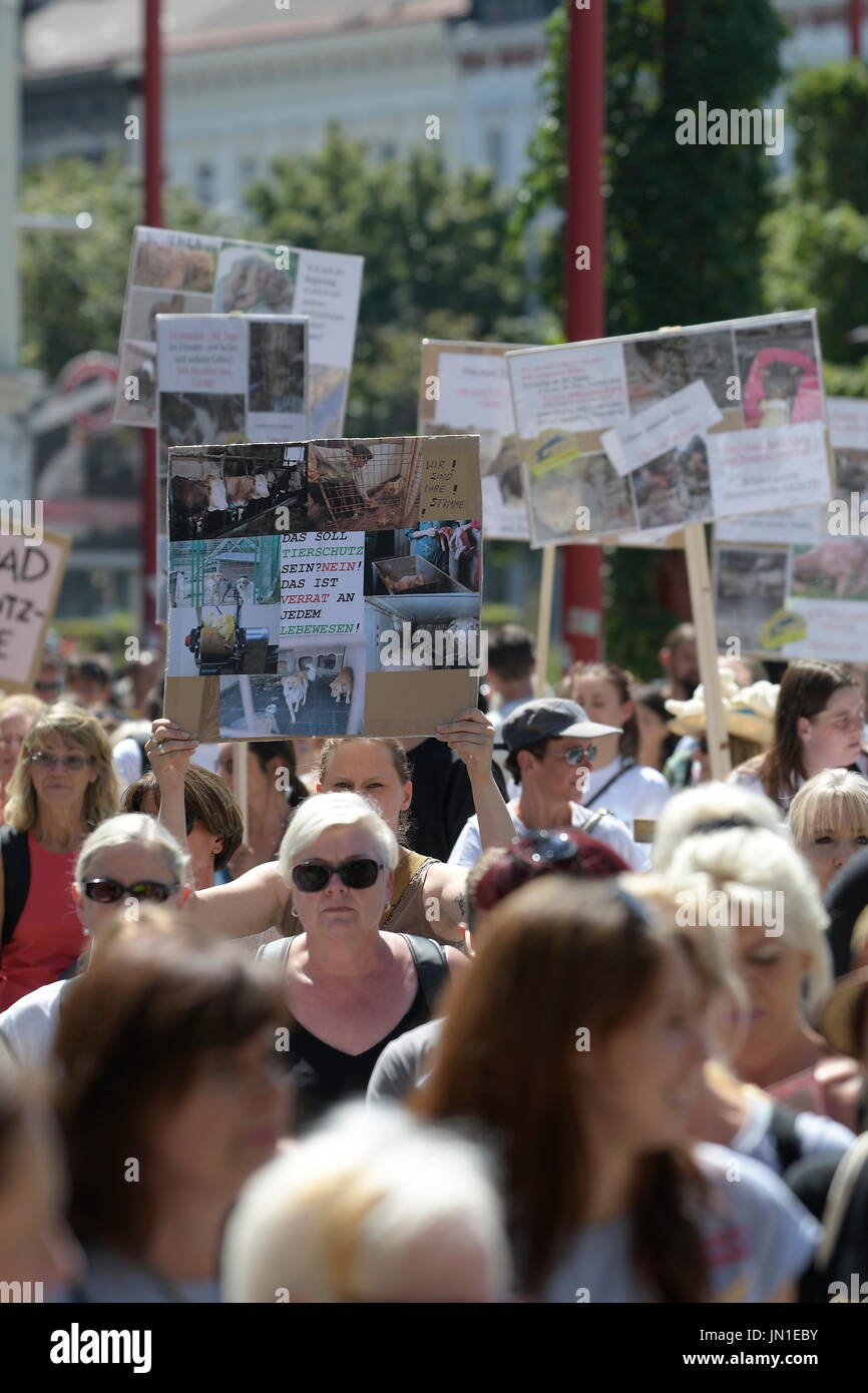 Vienna, Austria. Il 29 luglio 2017. Dimostrazione "Protezione Animale Innovazione 2017 a Vienna. Numerose organizzazioni per la protezione degli animali stanno manifestando contro la nuova legislazione sul benessere degli animali in Austria. Credito: Franz Perc / Alamy Live News Foto Stock