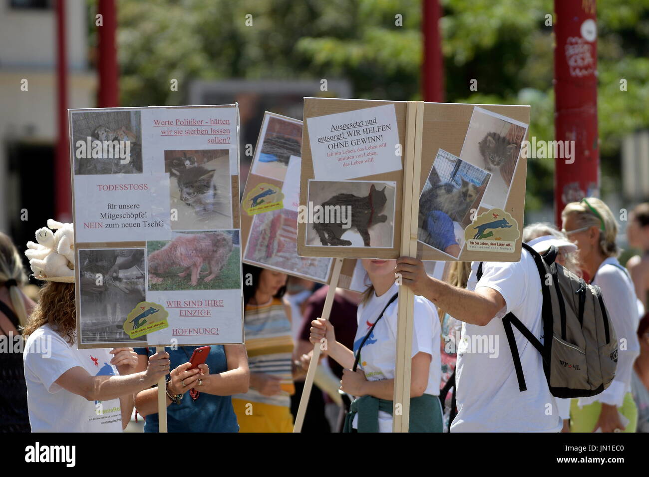 Vienna, Austria. Il 29 luglio 2017. Dimostrazione "Protezione Animale Innovazione 2017 a Vienna. Numerose organizzazioni per la protezione degli animali stanno manifestando contro la nuova legislazione sul benessere degli animali in Austria. Credito: Franz Perc / Alamy Live News Foto Stock