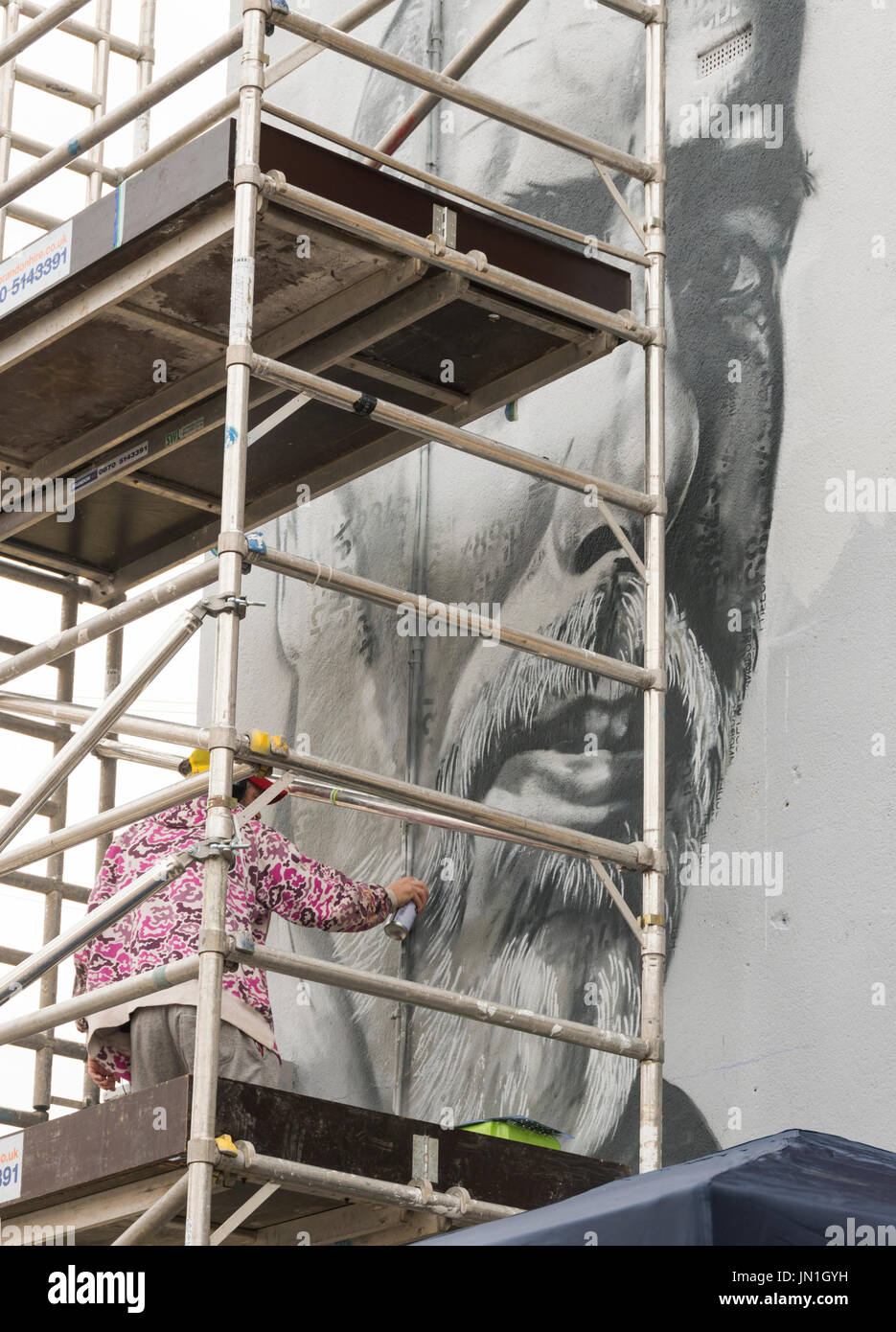 Bristol, Regno Unito. 29 Luglio, 2017. UPFEST. Il più grande d'Europa street art festival è in corso in Bristol. 29 luglio 2017 Carolyn Eaton/ Alamy News live Foto Stock