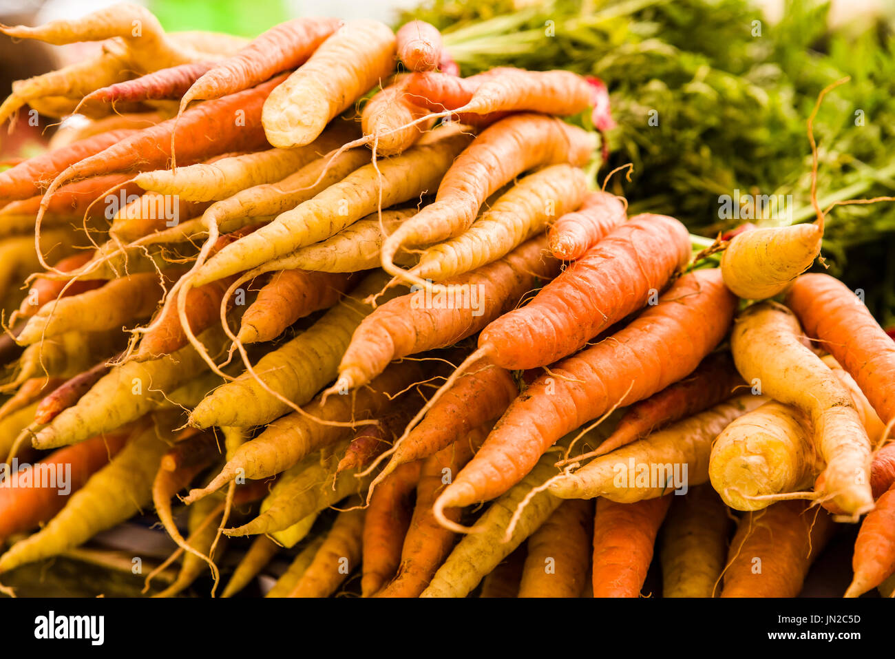 Le carote arancione al mercato degli agricoltori Foto Stock
