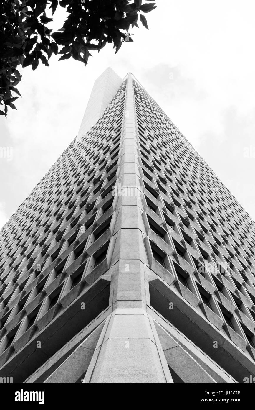 Osservando la piramide alti in San Francisco Foto Stock