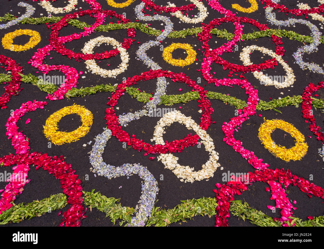 Petali di fiori sullo sfondo Foto Stock