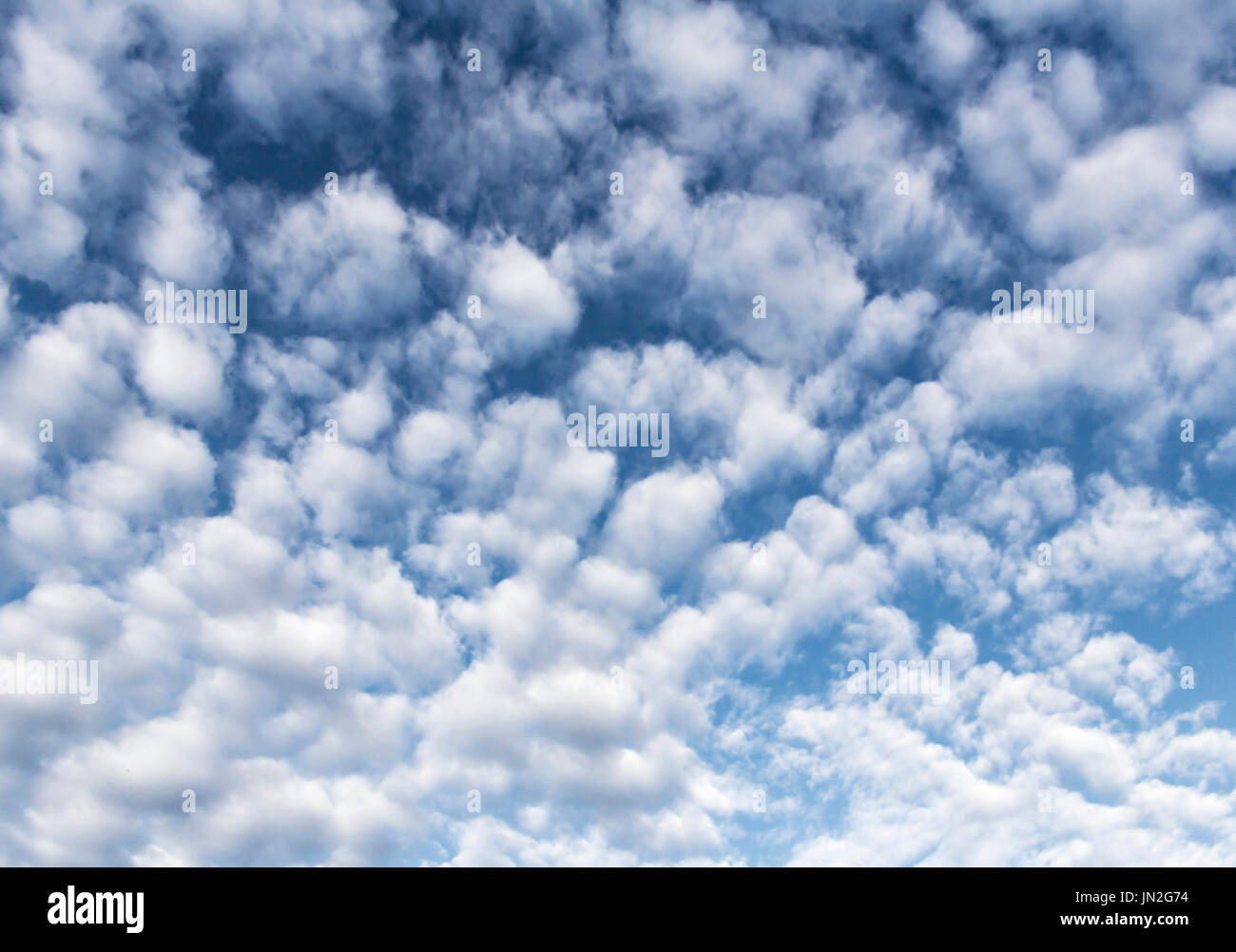Cloudscape con un sacco di soffici nuvole bianche. Immagine potrebbe essere utile in background per progetti di design o per aggiungere altre immagini e wallpaper Foto Stock