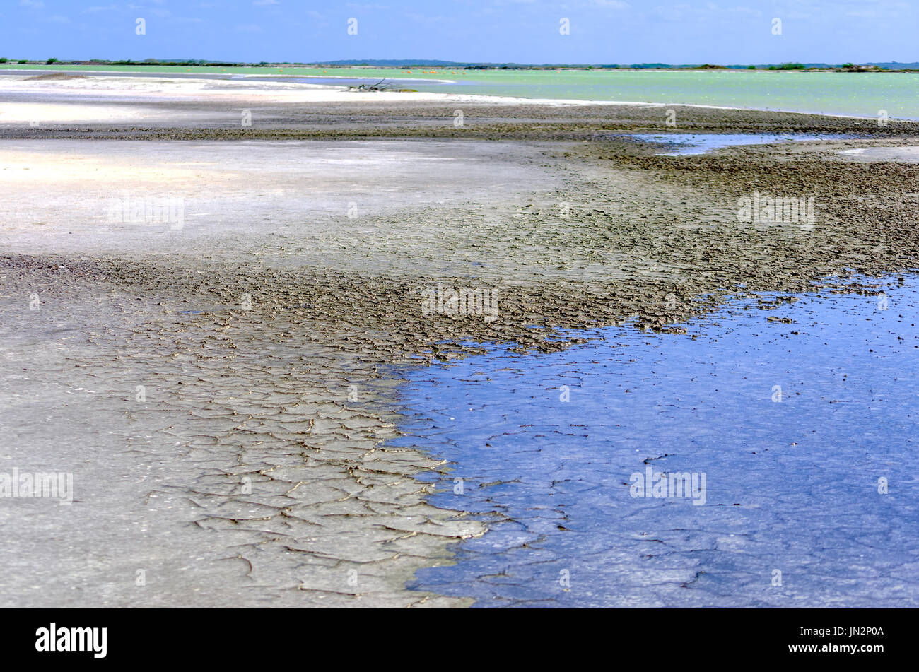 Vista della zona di sale a Rio Lagartos in Messico Foto Stock