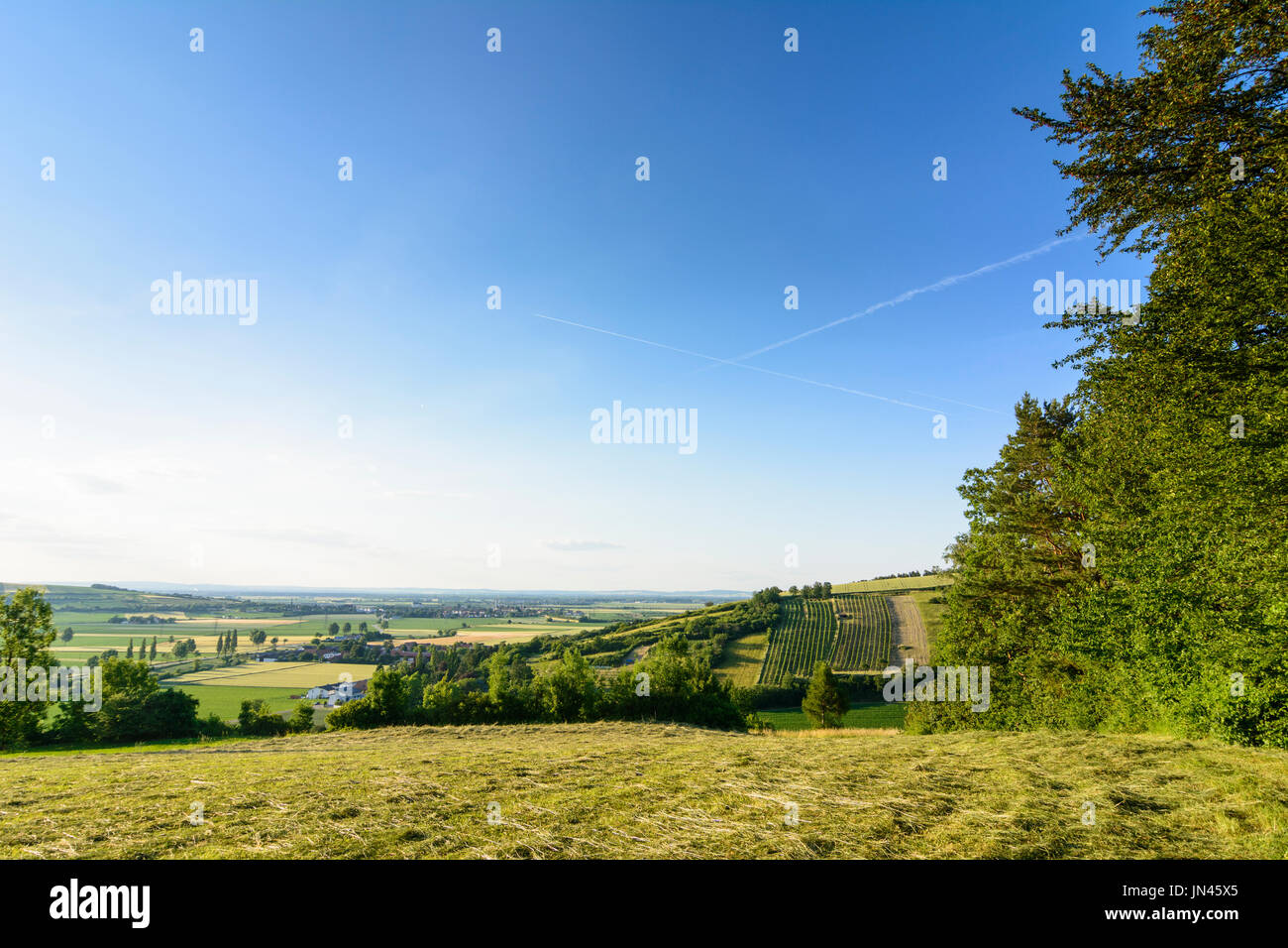 Vista in Judenau e Tullnerfeld, Judenau-Baumgarten, Wienerwald, Vienna Woods, Niederösterreich, Austria Inferiore, Austria Foto Stock