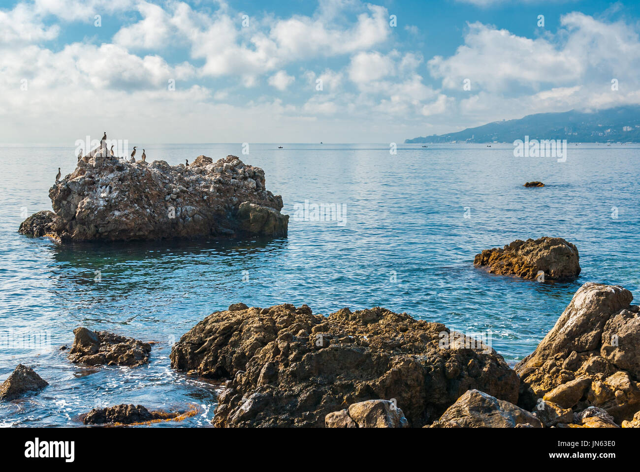 Mar Nero wild water-scape con gruppo di cormorani seduto su una grande roccia Foto Stock