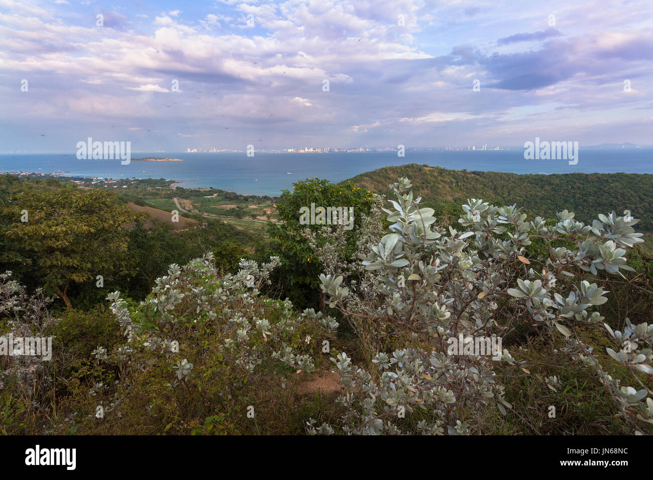 Punto di vista di Koh Lan isola della Thailandia Foto Stock