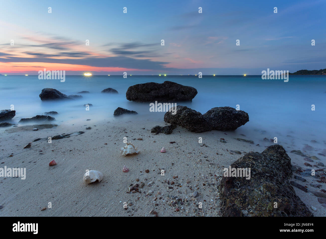 Ancora vita raffinata arte di shell sulla spiaggia Foto Stock