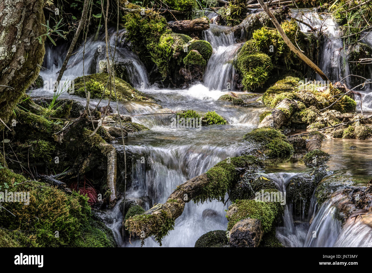 Sopotnica, Serbia - Cascate in un torrente di montagna Foto Stock