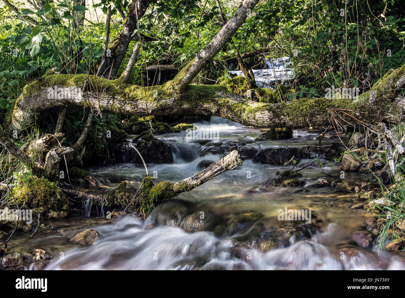 Sopotnica, Serbia - Cascate in un torrente di montagna Foto Stock