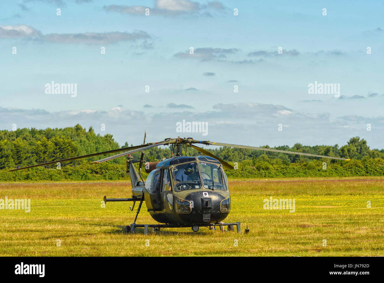 Army air corps volo storico westland scout ah.1 elicottero xt626 a blackbushe 75 festival del volo Foto Stock