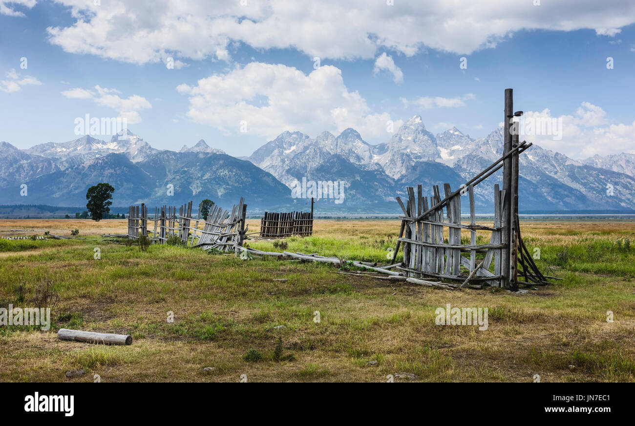 Resti di inizio Mormone Homestead e il recinto di marcio contro il Grand Tetons montagne e nel mezzo della prateria in estate, Montana, USA. Foto Stock