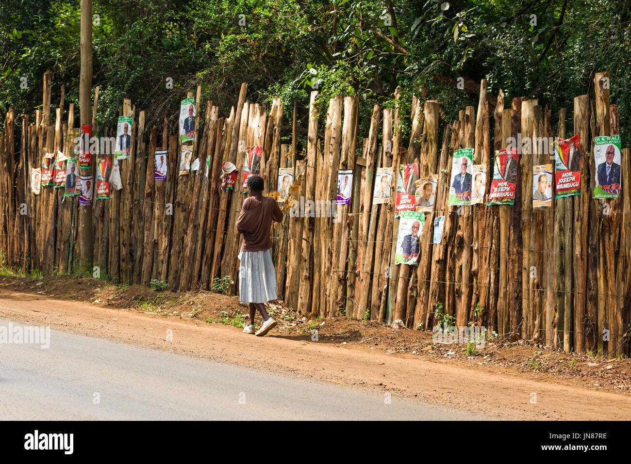 Donna cammina passato numerosi candidati manifesti elettorali sulla parete in legno da strada, Nairobi, Kenia Foto Stock