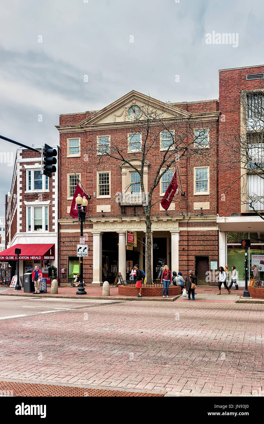 Cambridge, Stati Uniti d'America - 29 Aprile 2015: Persone a Harvard la cooperazione della società in Cambridge, Massachusetts, America Foto Stock