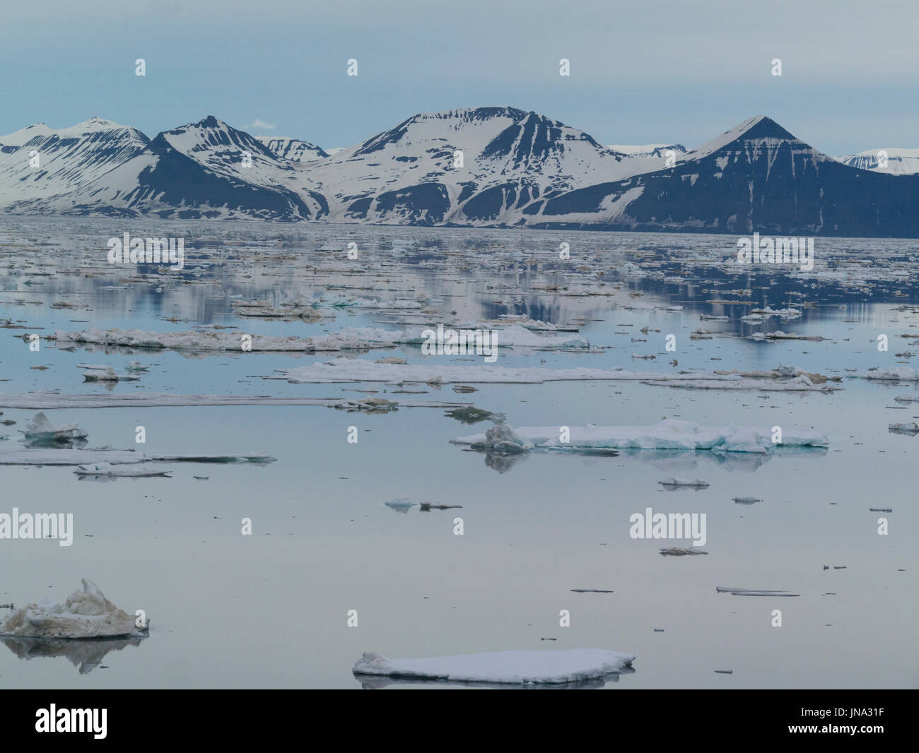 Ice floes acque di copertura della grande Storfjorden briny baia tra isola Spitsbergen ad ovest e le isole di Barentsøya e Edgeøya ad est Foto Stock
