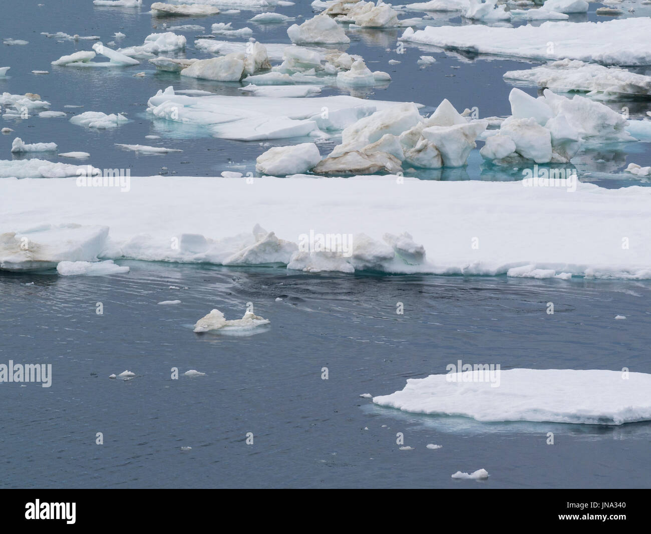 Ice floes acque di copertura di Storfjorden grande soluzione salina bay tra isola Spitsbergen ad ovest e le isole di Barentsøya e Edgeøya al eastv Foto Stock