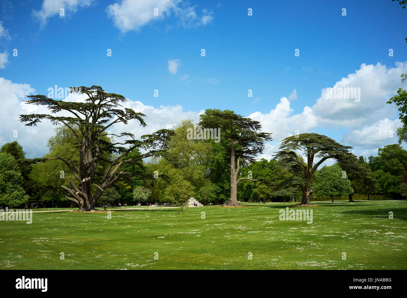 Wilton House-Wiltshire Foto Stock