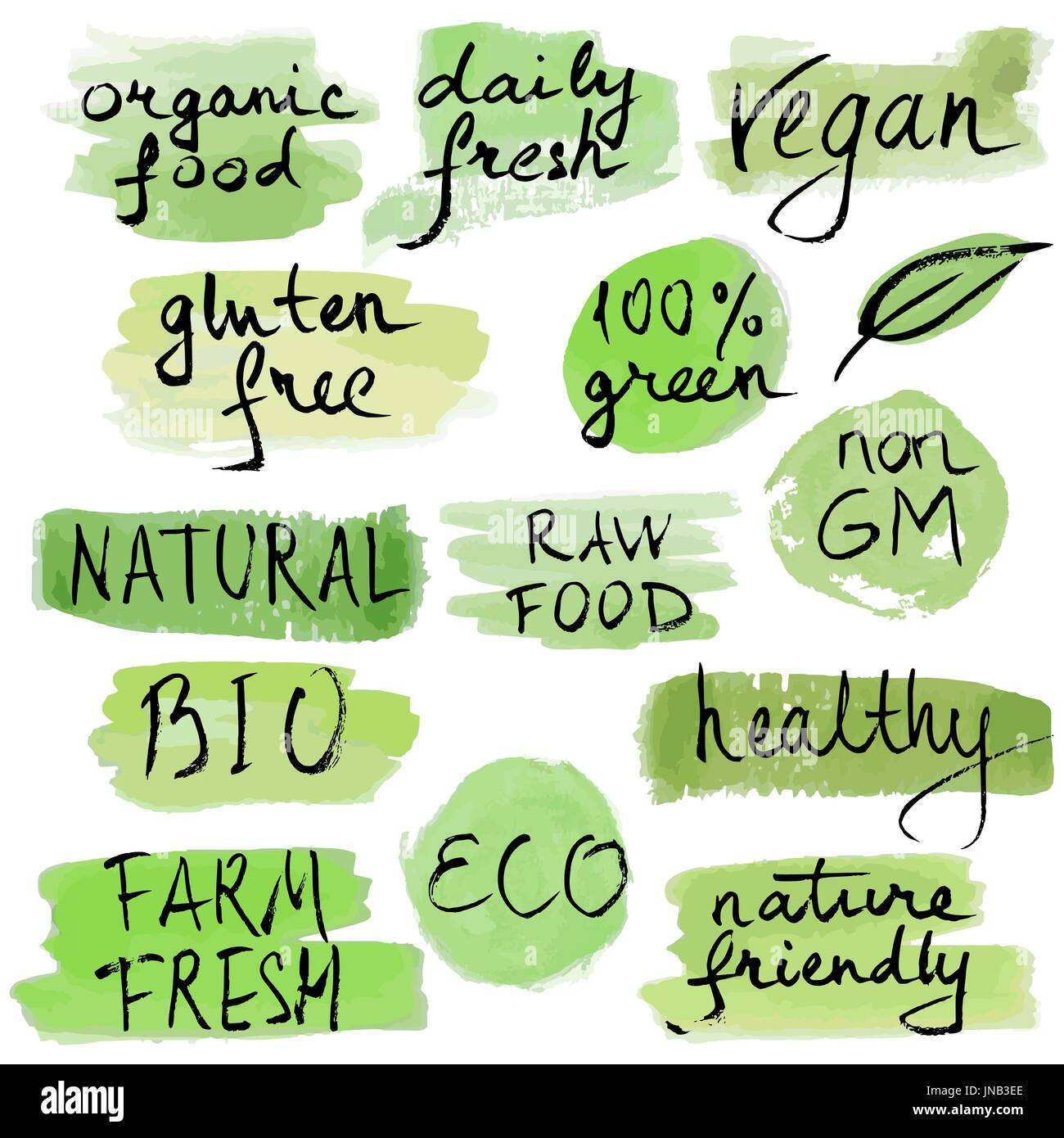 Set di illustrazione vettoriale eco logo, etichette, scudetti. Scritta a mano. Spazzola moderna penna disegnato a mano scritte di inchiostro per l'ecologia natura farm design mercato, ve Illustrazione Vettoriale