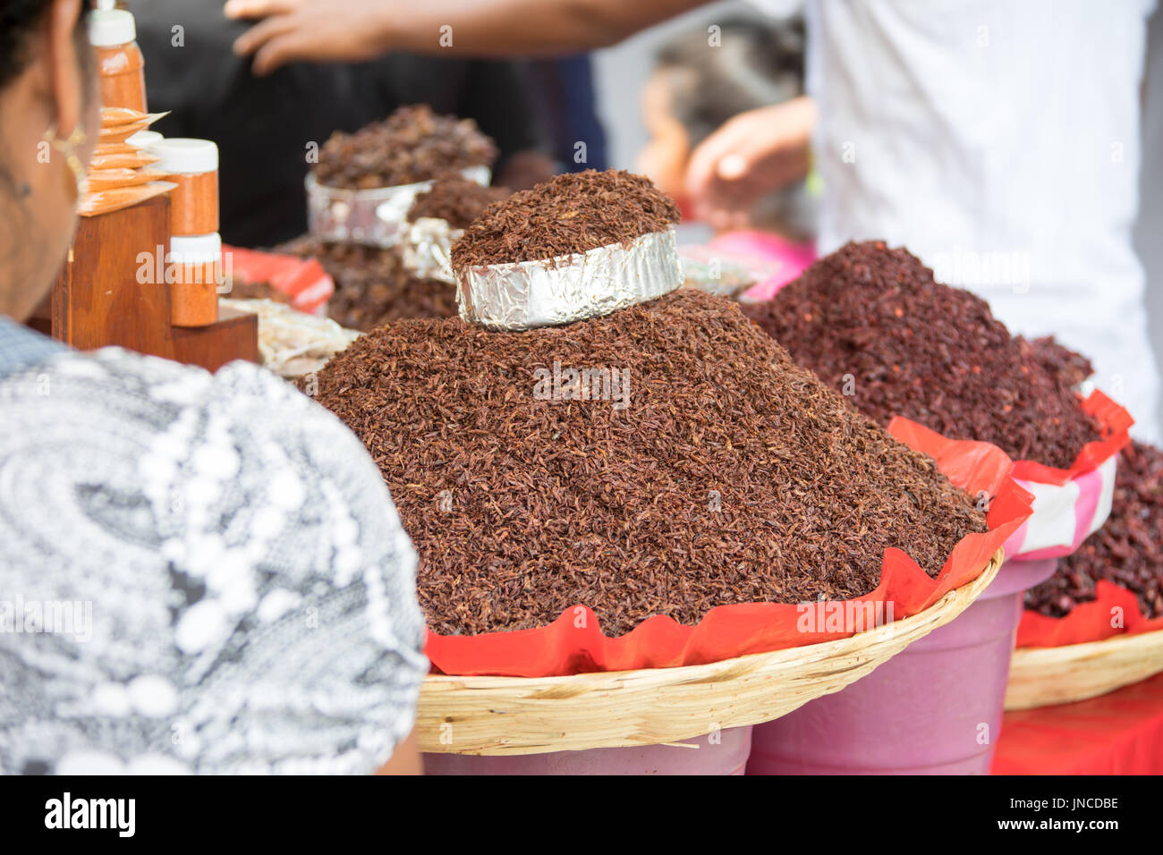 Insetti fritti venditore in Oaxaca, Messico Foto Stock