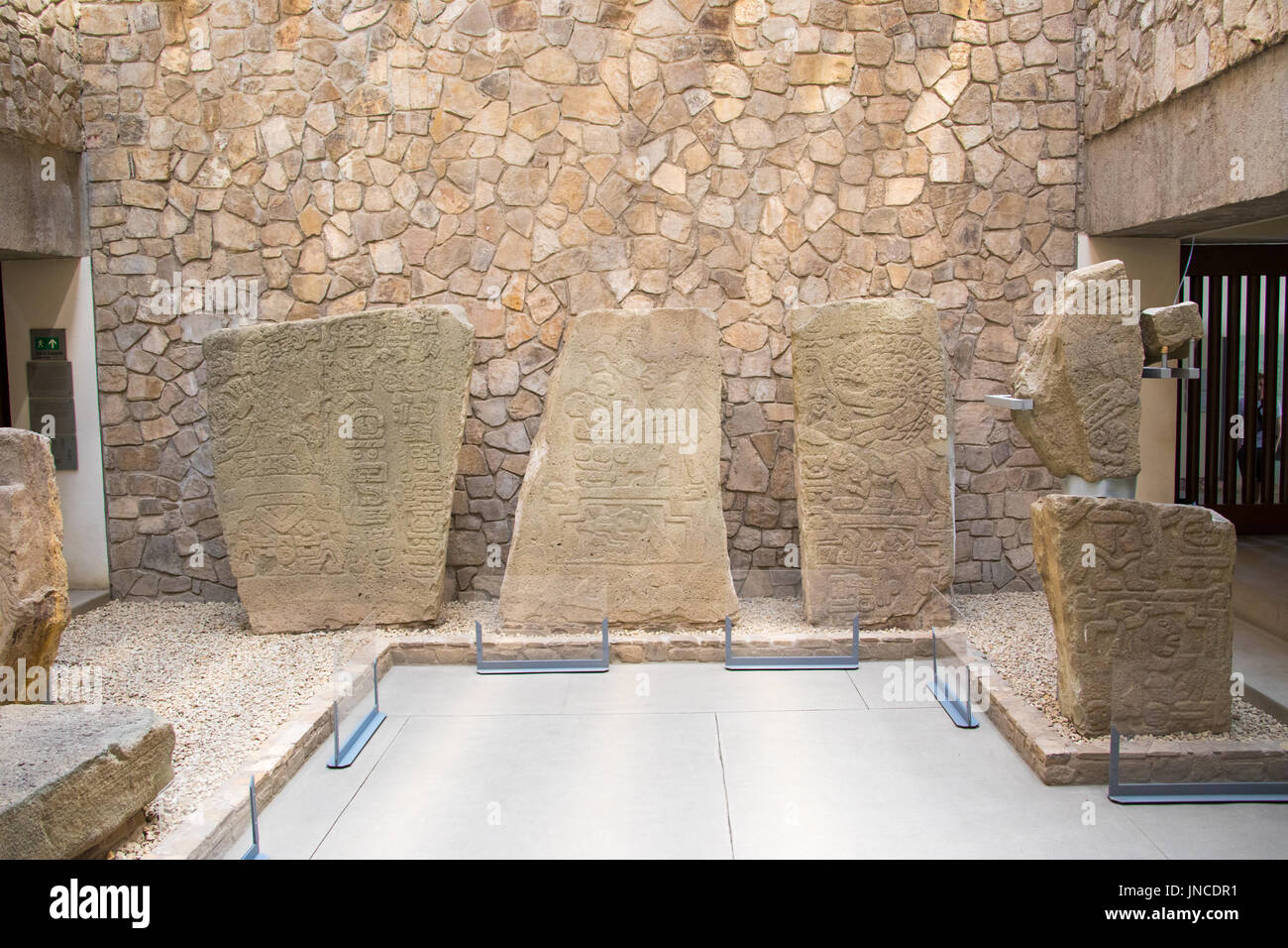 Zapoteco stele all'interno il museo al Monte Alban, resti della civiltà zapoteco, Oaxaca, Messico Foto Stock