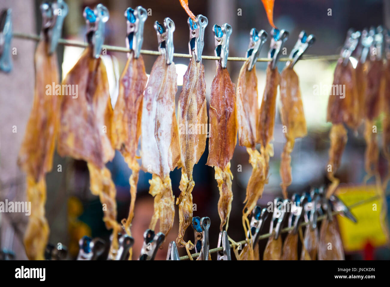 Appeso calamaro asciugato a Khlong Lat Mayům mercato galleggiante, Bangkok in Thailandia Foto Stock