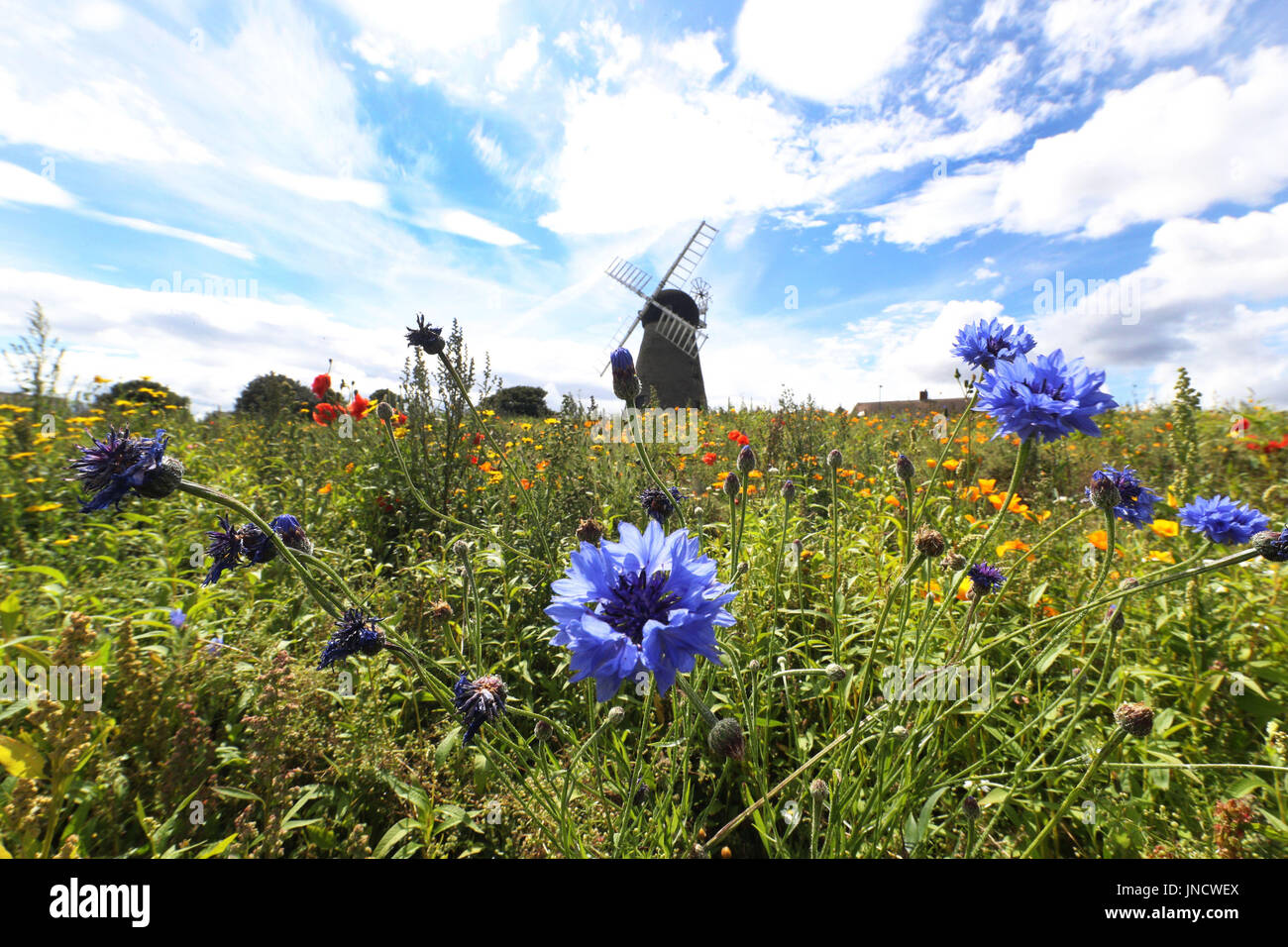 Tempo caldo a Whitburn Mulino a Vento a Sunderland. Foto Stock