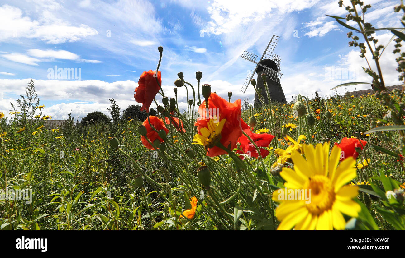 Tempo caldo a Whitburn Mulino a Vento a Sunderland. Foto Stock