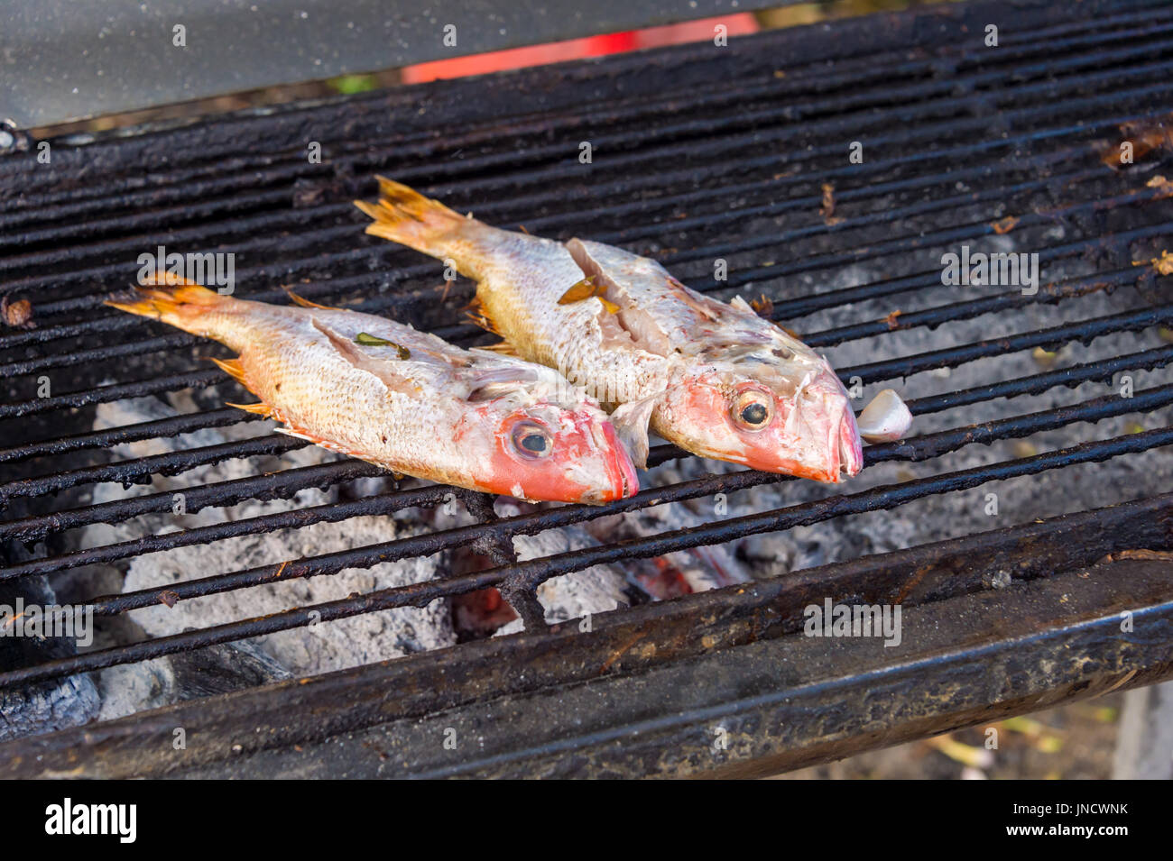 Due red lutiani sul barbeque in Martinica Foto Stock