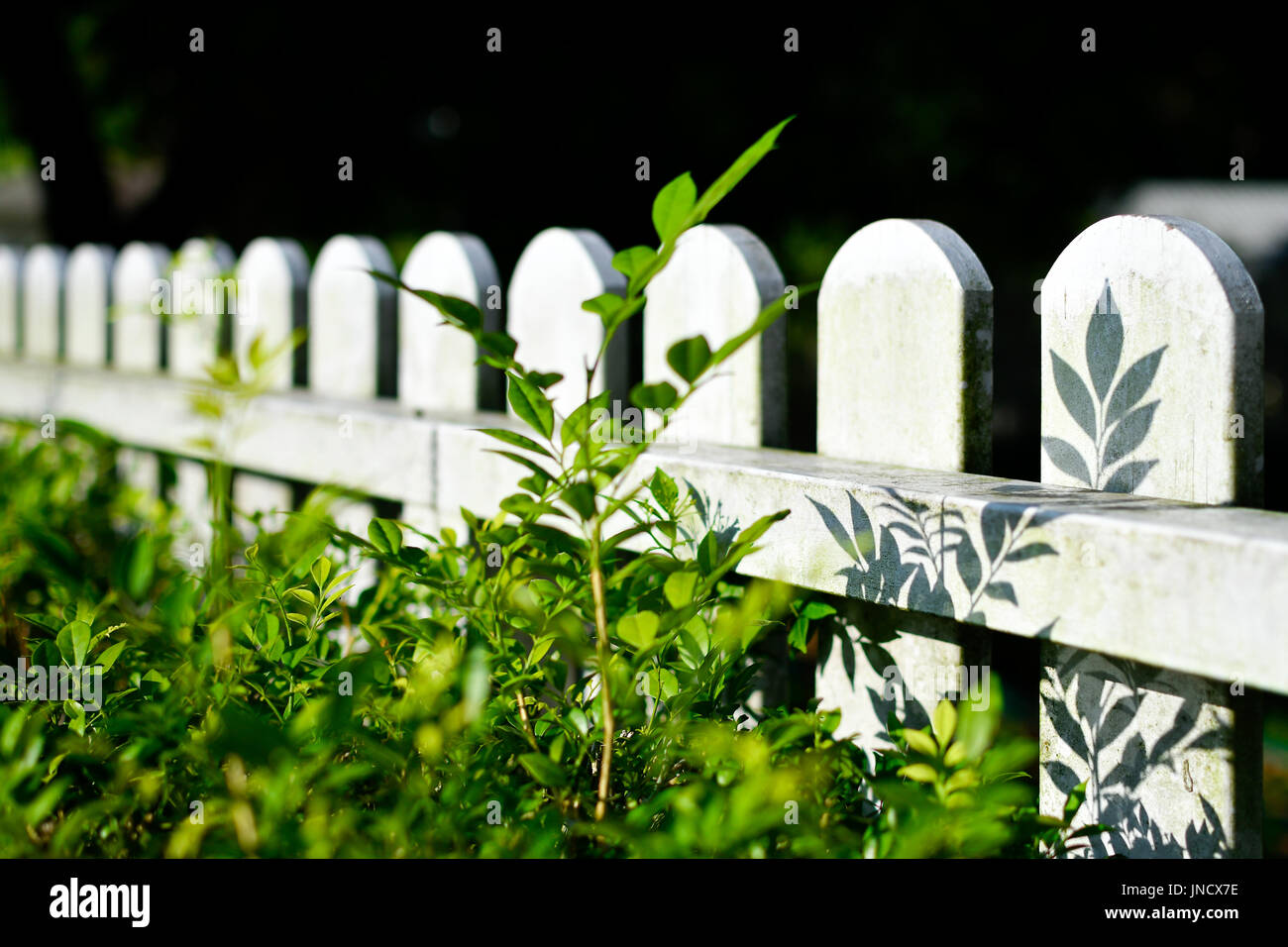 Bianco recinzione di legno Foto Stock