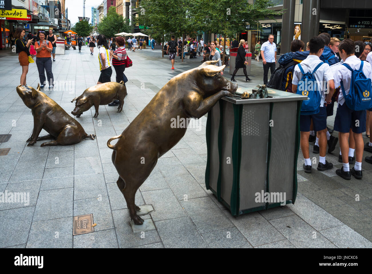 In Australia, in Sud Australia, Adelaide, Rundle Street Mall di suini in bronzo sculture, un giorno fuori da Marguerite Derricourt. Foto Stock