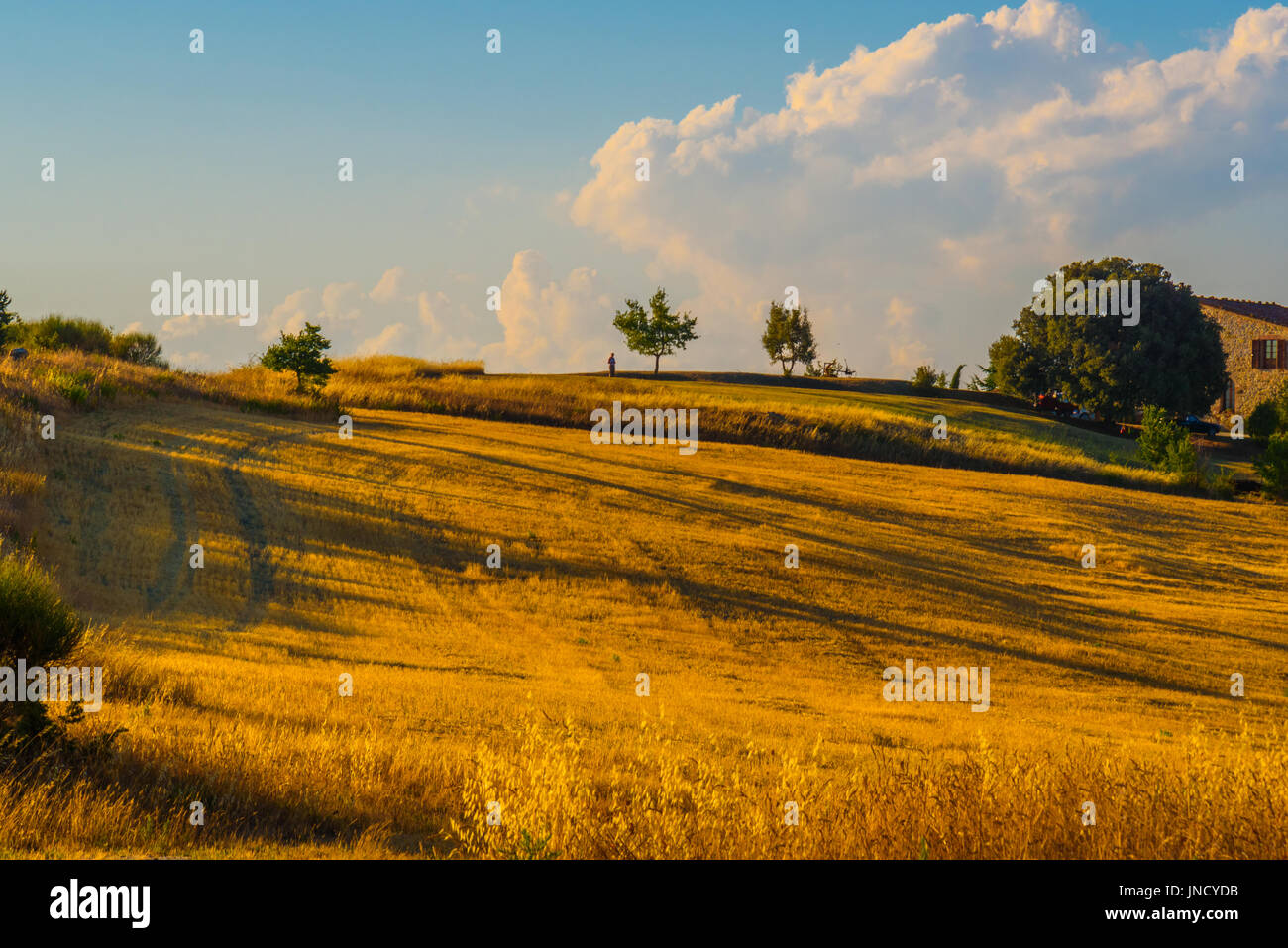 PIENZA, Italia - Luglio 23, 2017 - Vista del paesaggio toscano in estate nella zona naturale della Val d'Orcia. Foto Stock