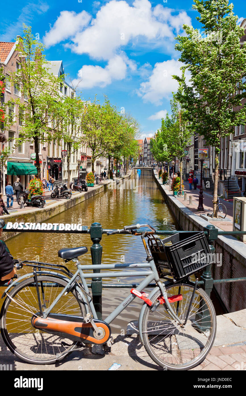 AMSTERDAM, Paesi Bassi - 23 giugno 2013: vivace strada (Oudezijds Achterburgwal) nel cuore del quartiere a luci rosse di Amsterdam, Paesi Bassi. Visualizzare fro Foto Stock