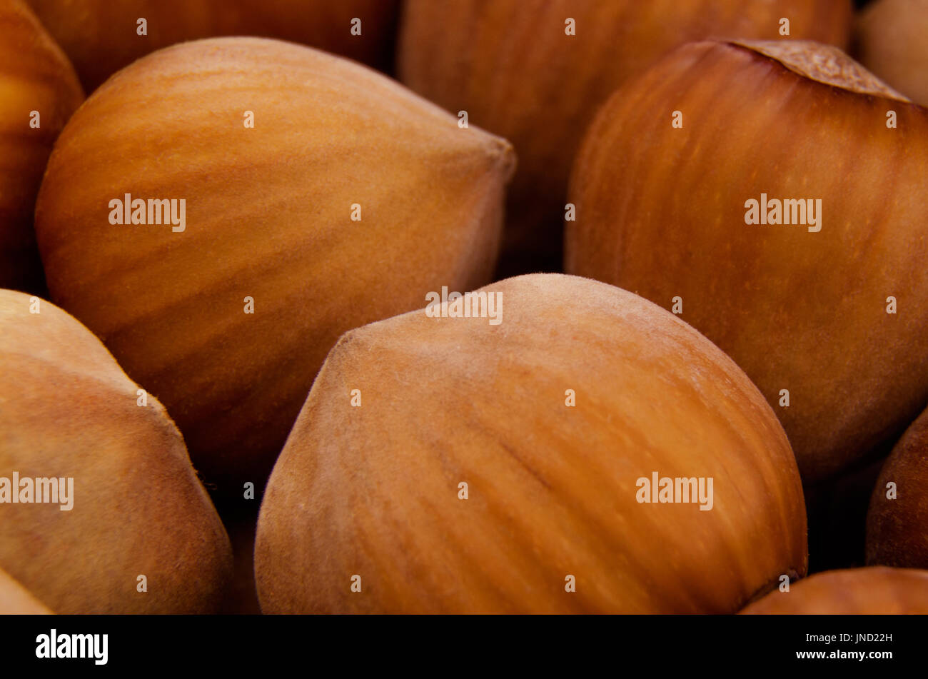 Il mucchio di dadi; foto macro; concentrarsi sulla parte più vicina Foto Stock