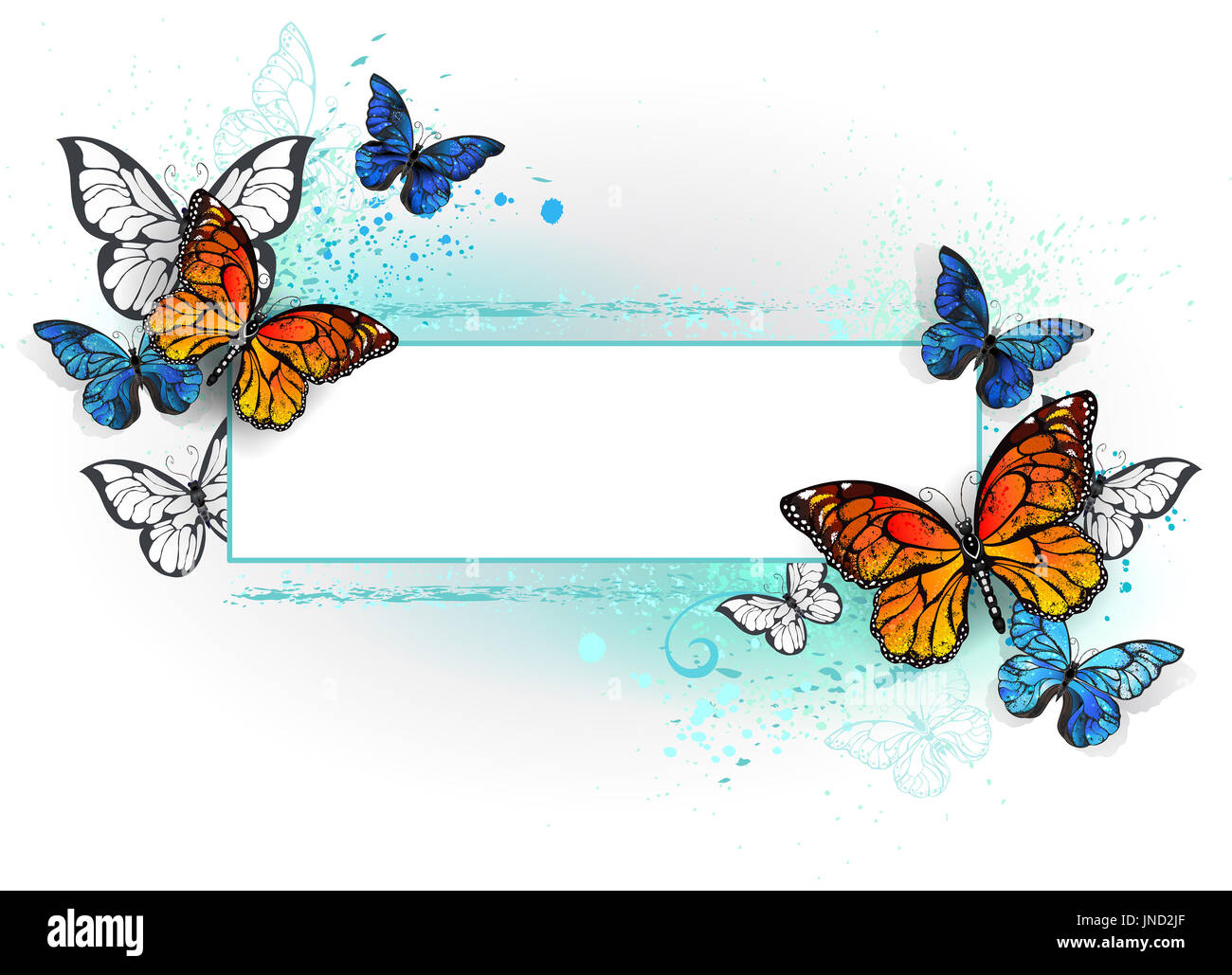 Banner rettangolare con blue butterfly morfo e arancione farfalla monarca su uno sfondo bianco. Morpho. Farfalla monarca. Design con farfalle. Foto Stock