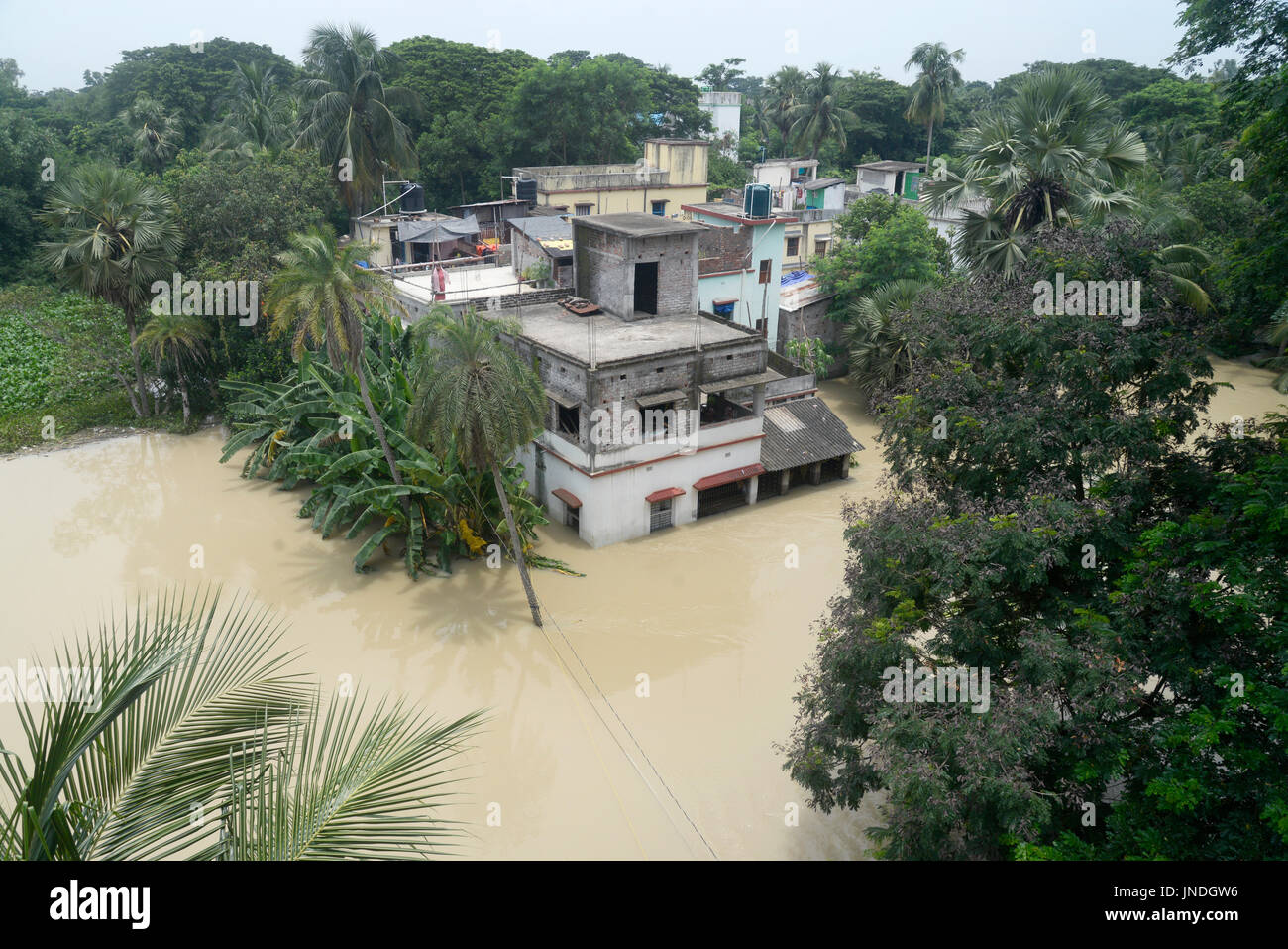 Ghatal, India. 29 Luglio, 2017. Vista della località allagate in Ghatal subdivion del Bengala Occidentale il 29 luglio 2017. Le piogge e il rilascio di acqua da parte della valle del Damodar Corporation Fiume Shilabati rompere la diga sul fiume e in parte ondata di suddivisione Ghatal 115 km dalla capitale dello stato Kolkata sulla luglio 29, 2017 in Ghatal. Credito: Saikat Paolo/Pacific Press/Alamy Live News Foto Stock