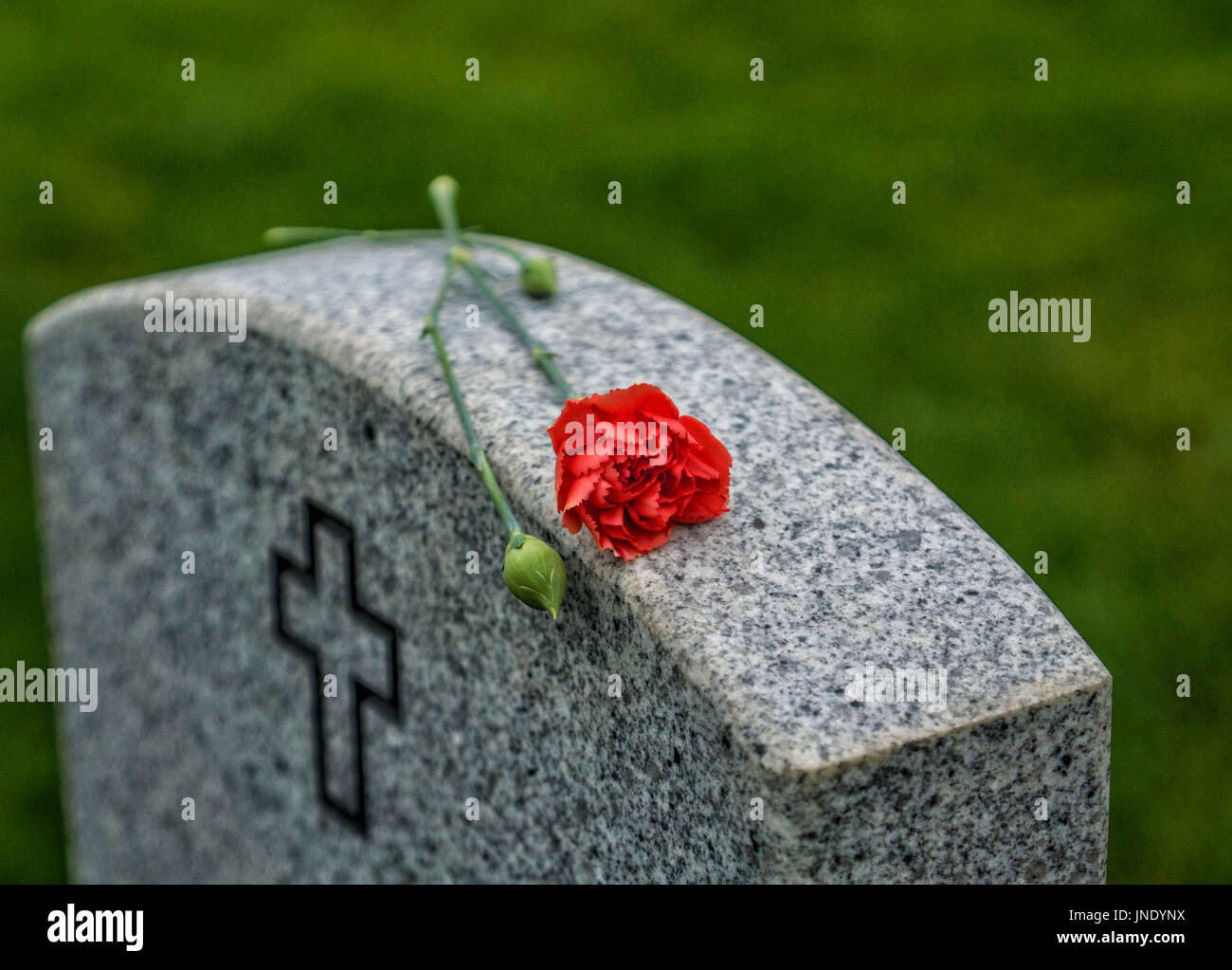 Bandiera americana e rosa bianca su di un oggetto contrassegnato per la rimozione definitiva dei veterani a un American National Cemetery. Foto Stock