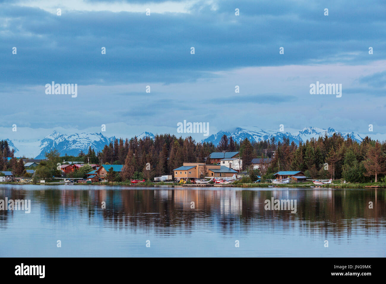 Lago di beluga, Omero, penisola di Kenai, Alaska, Stati Uniti d'America Foto Stock