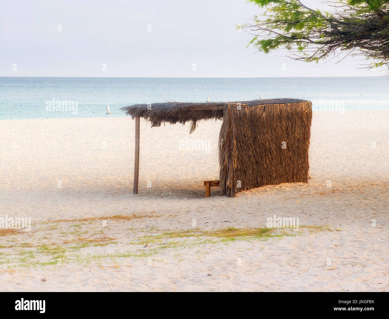 Rifugio sulla spiaggia di Aruba Foto Stock