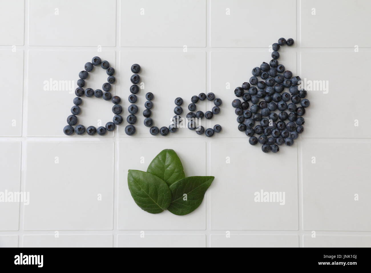 Messaggio di mirtilli Foto Stock
