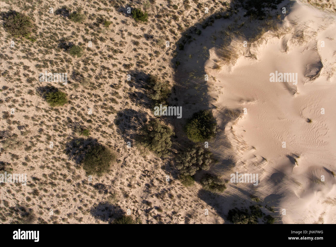 Vista aerea di enormi dune di sabbia nella regione arida del Capo Settentrionale, Sud Africa Foto Stock