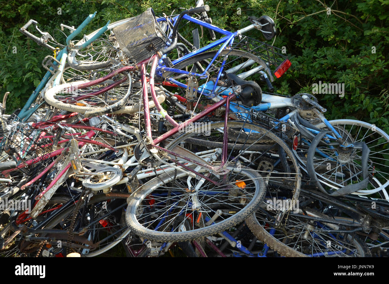 Pila di biciclette in disuso. Foto Stock