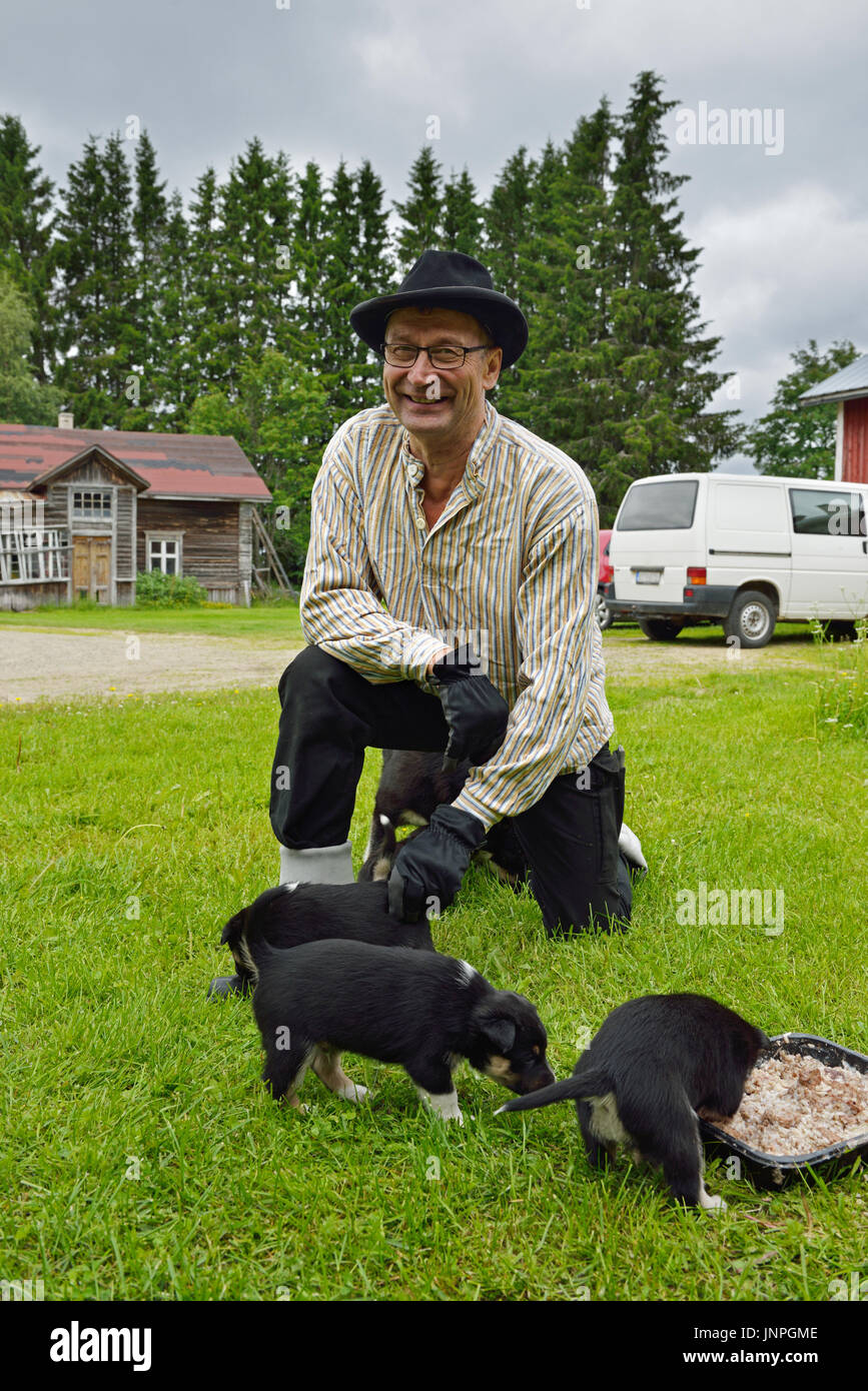 Agricoltore asg con la sua Lapponia renne cani e cuccioli. La Lapponia finlandese Foto Stock