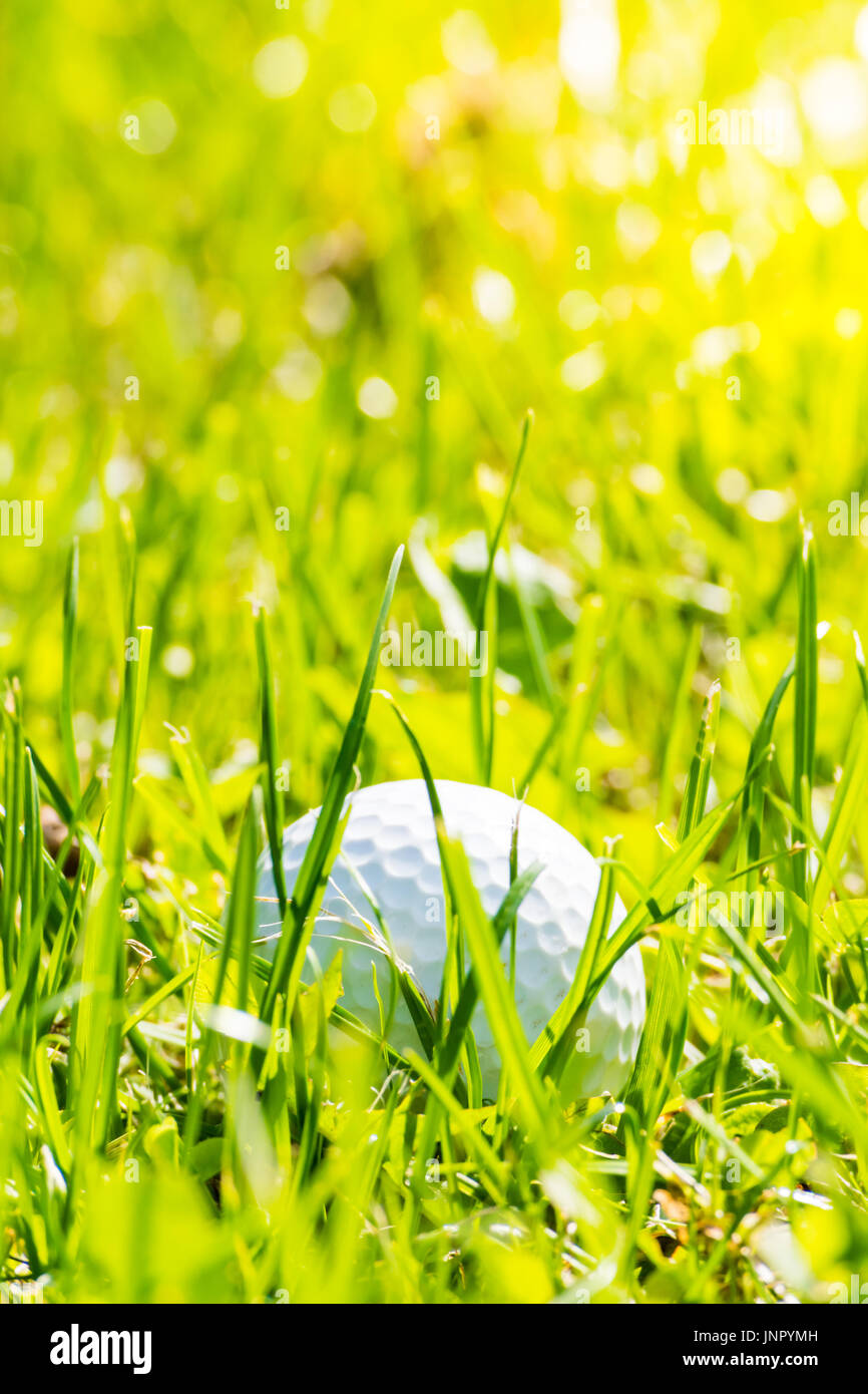Golf palla persa a Nizza di pulire l'erba. Liscia in primo piano e sullo sfondo. Foto Stock