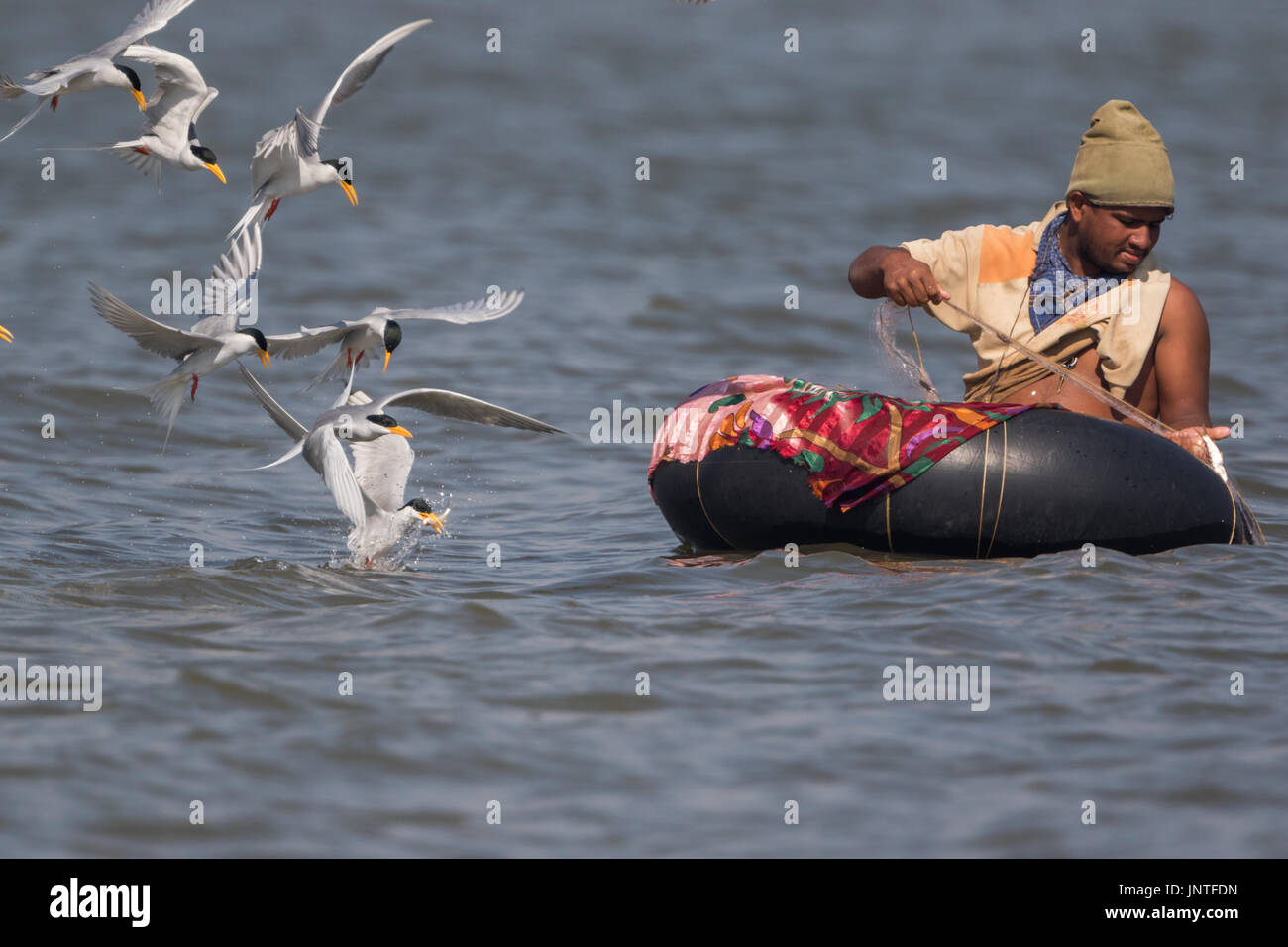 Fisherman, Fiume Tern a vira Dam, Pune Foto Stock