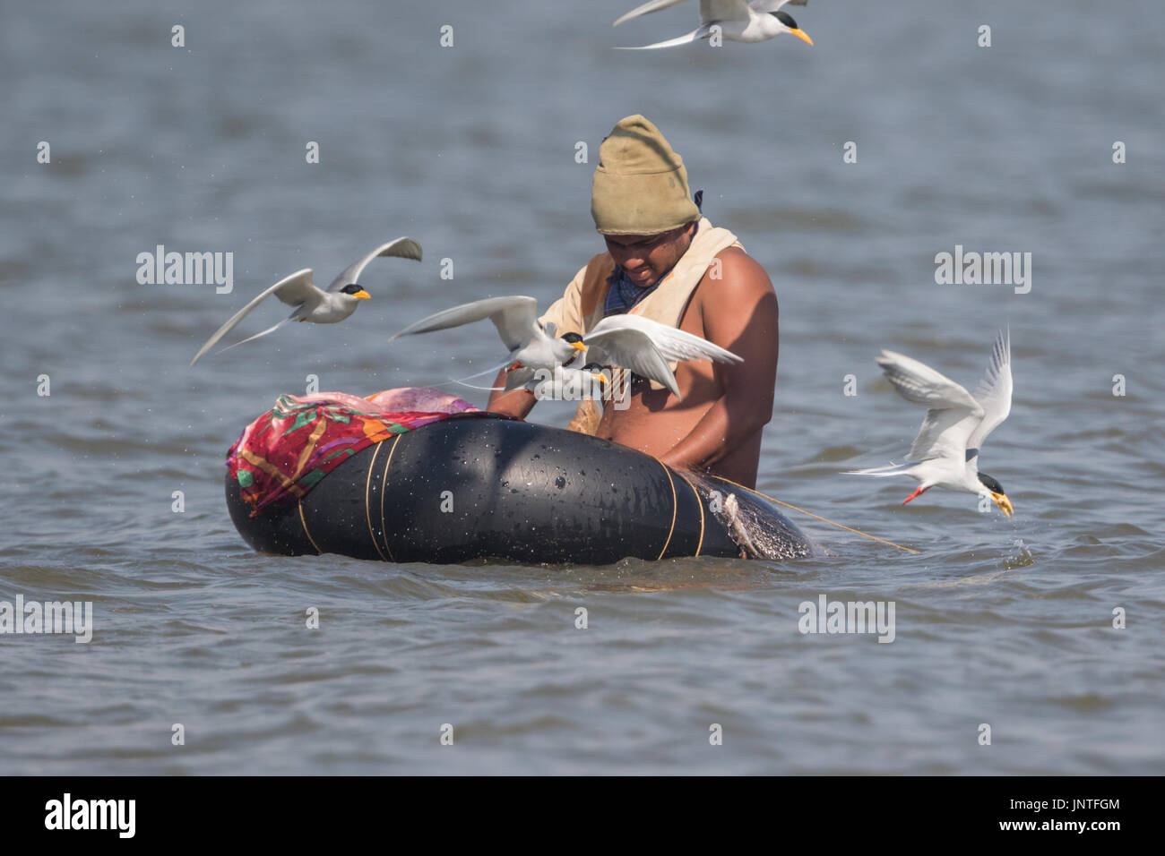 Fisherman, Fiume Tern a vira Dam, Pune Foto Stock