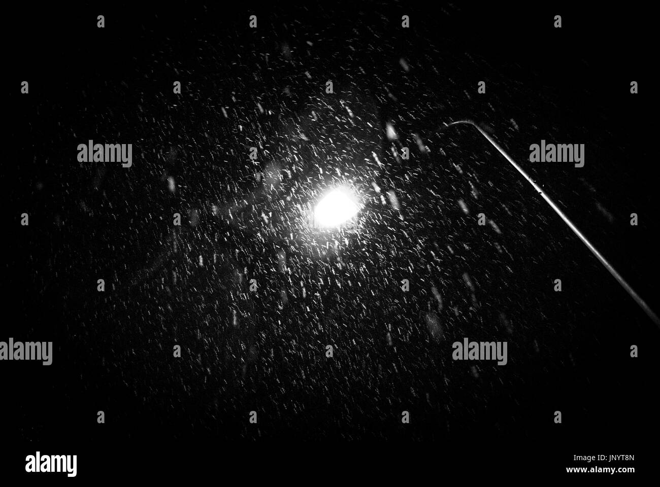 Luce durante una tempesta di neve Foto Stock