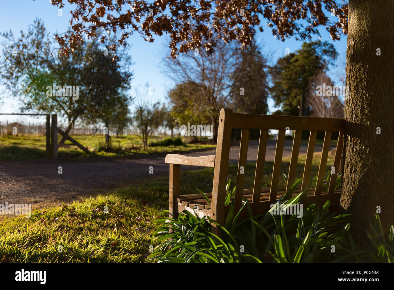 Un giardino vuoto sede crogiolarsi nel tardo pomeriggio di sole in una giornata di inverni in arancione NSW su una proprietà storica Foto Stock