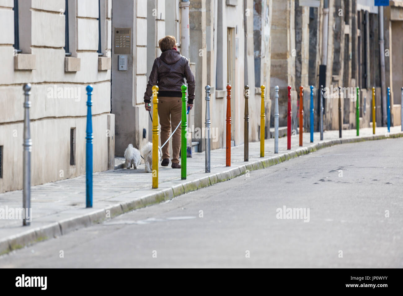 Parigi. Francia - Marzo 5, 2016: Donna camminando due cani bianchi passato colorato bitte in rue des jardins Saint-Paul nel villaggio Saint-Paul a Parigi, Francia Foto Stock