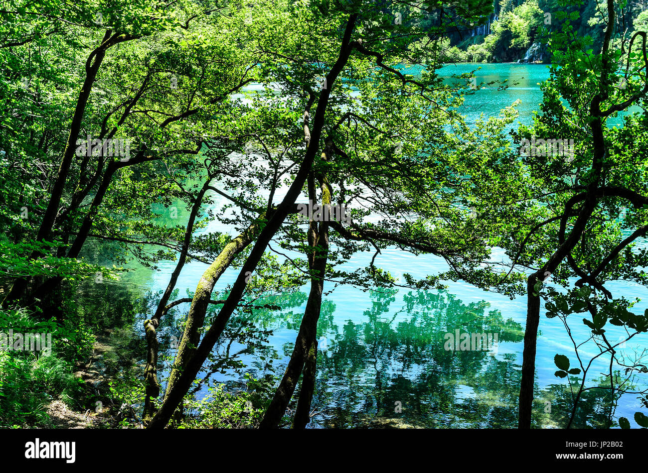 Lago nel Parco Nazionale di Plitvice. Foto Stock