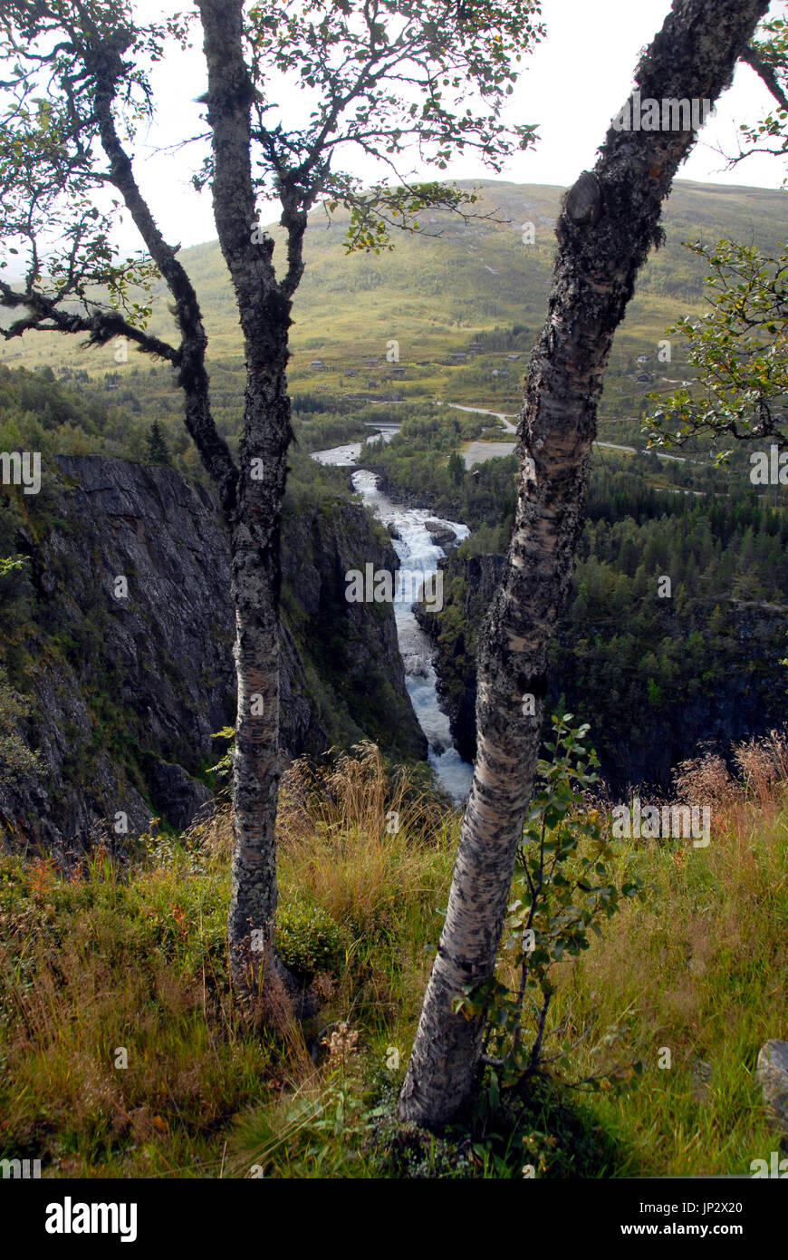 Cascata Voringfoss, Norvegia Foto Stock
